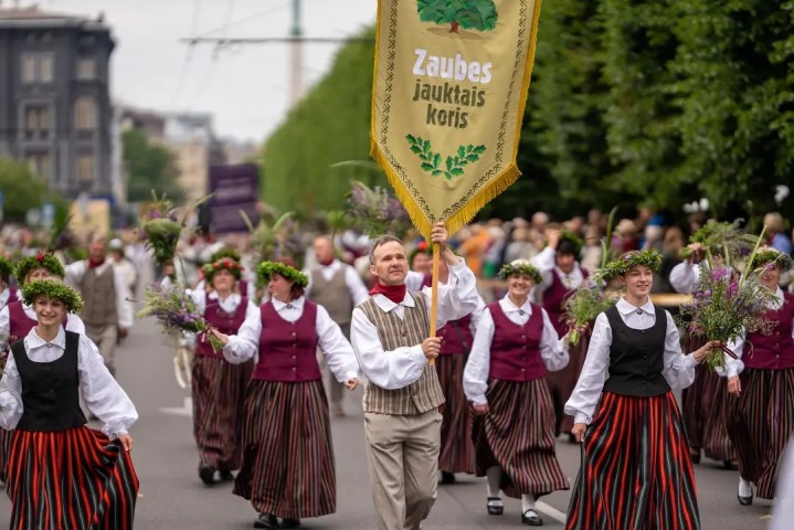 Zaubes jauktais koris